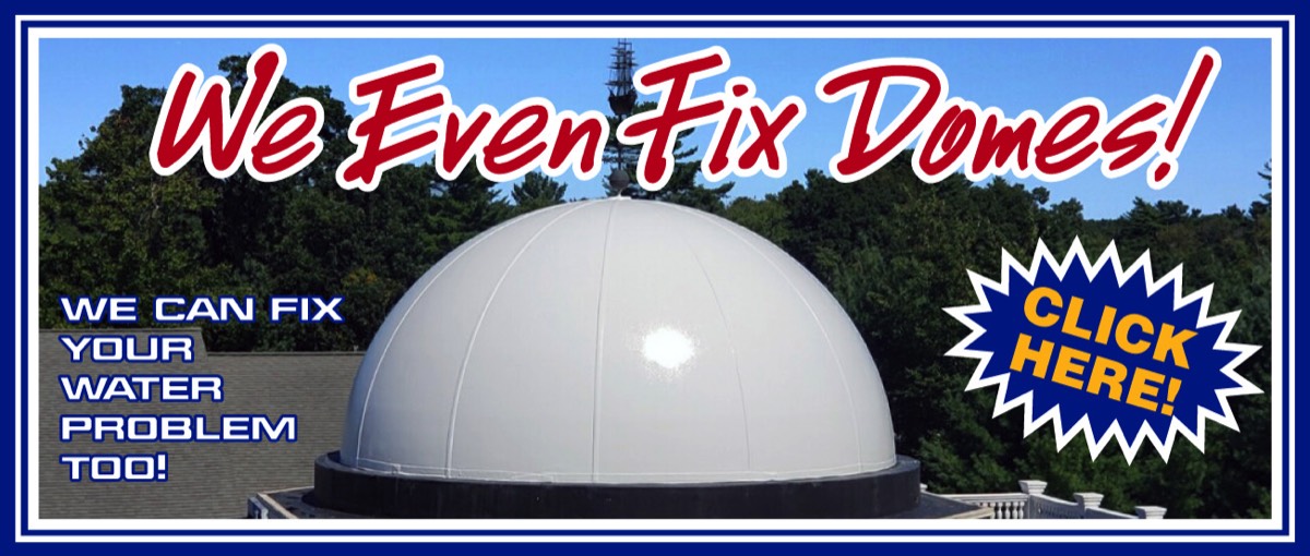Real Dry Dome Repair Work retina