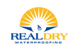 Real Dry lightbox logo
