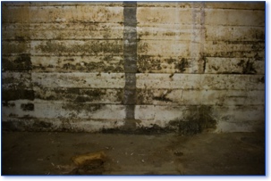 Basement wall damaged by water infiltration